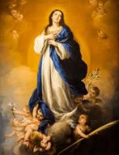 Immaculate conception